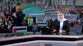 Manifestantes frente a la Casa Blanca exigen el fin de atrocidades en Gaza - Noticiero 13:30