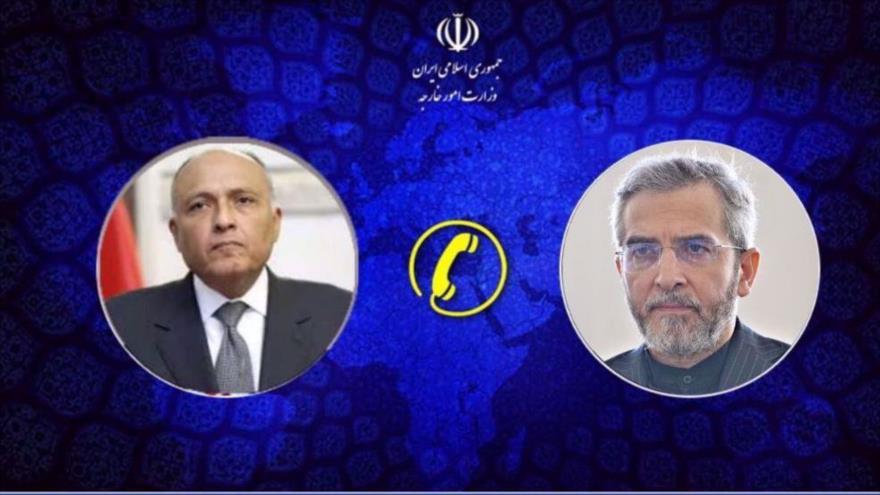 El canciller interino de Irán, Ali Baqeri Kani (derecha), y el canciller egipcio, Sameh Shoukry. (Foto: Ministerio de Asuntos Exteriores de Irán)
