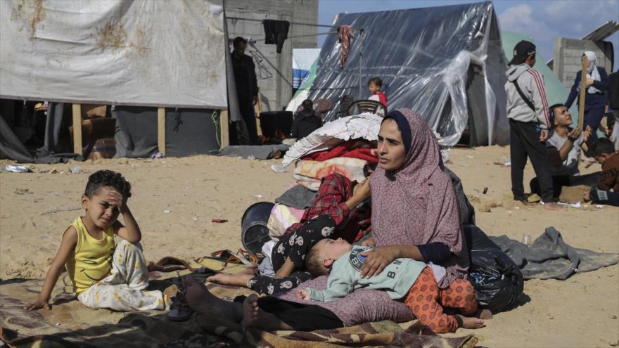 Palestinos desplazados por el bombardeo israelí a la Franja de Gaza instalan un campamento de tiendas en Rafah. 6 de diciembre de 2023. (Foto: AP)