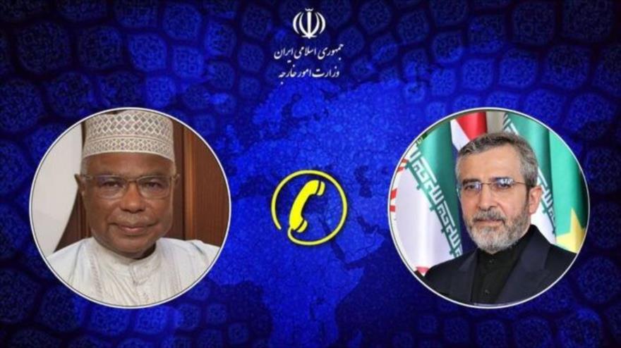 El ministro de Asuntos Exteriores en funciones de Irán, Ali Baqeri Kani, (dcha.) y el secretario general de la Organización de Cooperación Islámica (OCI), Husein Ibrahim Taha.