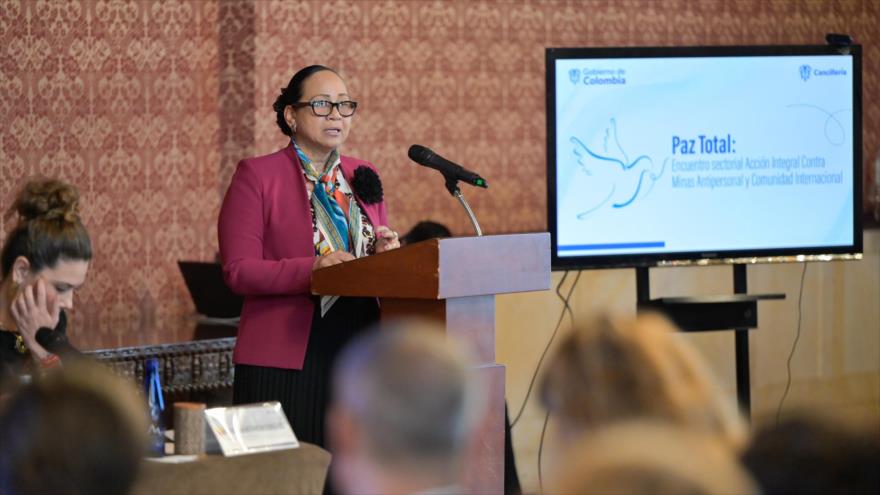 La viceministra de Asuntos Multilaterales de Colombia, Elizabeth Taylor Jay.