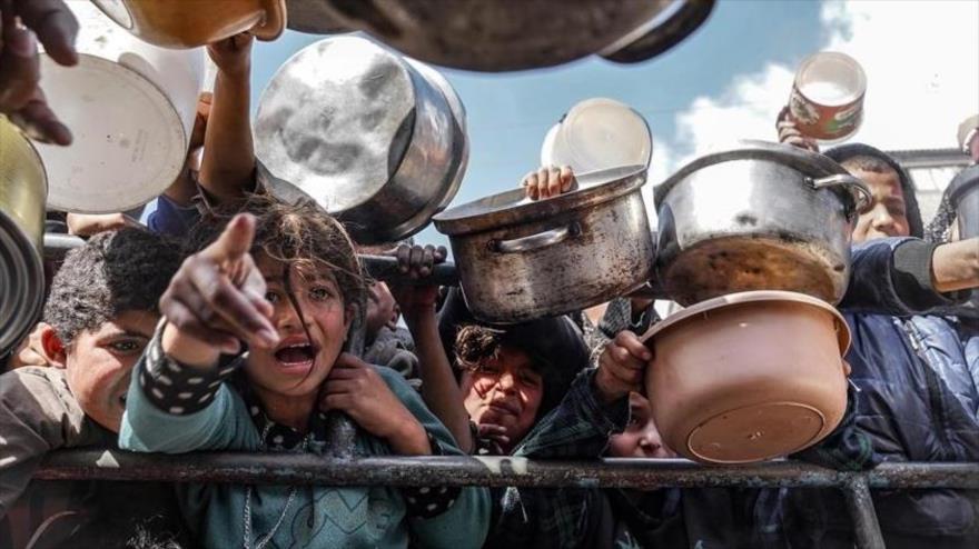 Niños palestinos sostienen ollas vacías mientras esperan en una fila para recibir comida preparada por voluntarios en Rafah, Franja de Gaza. 10 de febrero de 2024.