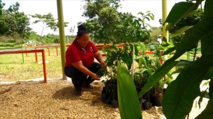 Mujeres campesinas colombianas progresan con ayudas del gobierno