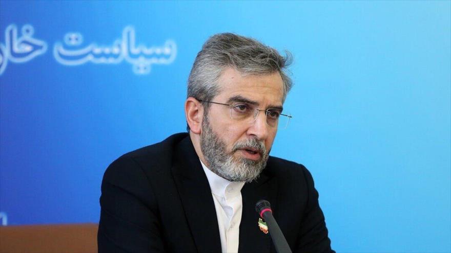 El canciller interino de Irán, Ali Baqeri Kani. (Foto: IRNA)