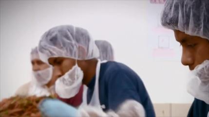 Revelan en EEUU nuevos delitos de explotación laboral infantil