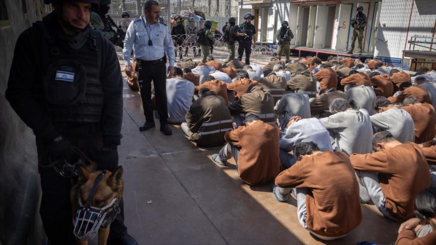 Palestinos detenidos por Israel en la Franja de Gaza en un patio de una prisión al sur de Palestina ocupada, 14 de febrero de 2024. (Foto: Flash90)