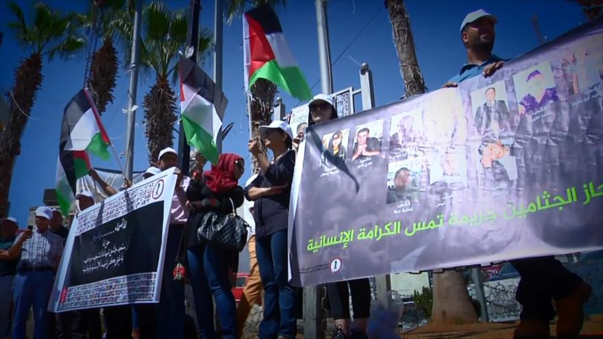 Cuerpos de los mártires palestinos en ‘cementerio de números’ de Israel | La Vida Bajo el Apartheid