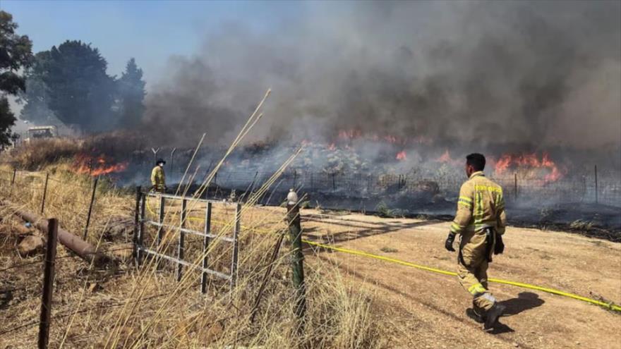 Bomberos israelíes tratan de apagar el incendio causado por el ataque de Hezbolá en las tierras ocupadas, junio de 2024. (Foto Reuters)