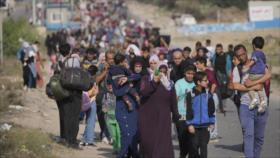 UNRWA: Población de Gaza agotada por continuo desplazamiento