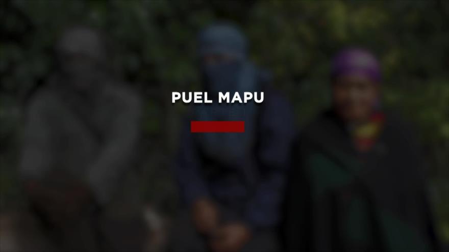 PUEL MAPU