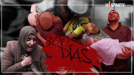 Datos: 300 días de guerra genocida israelí en Gaza; 3457 masacres