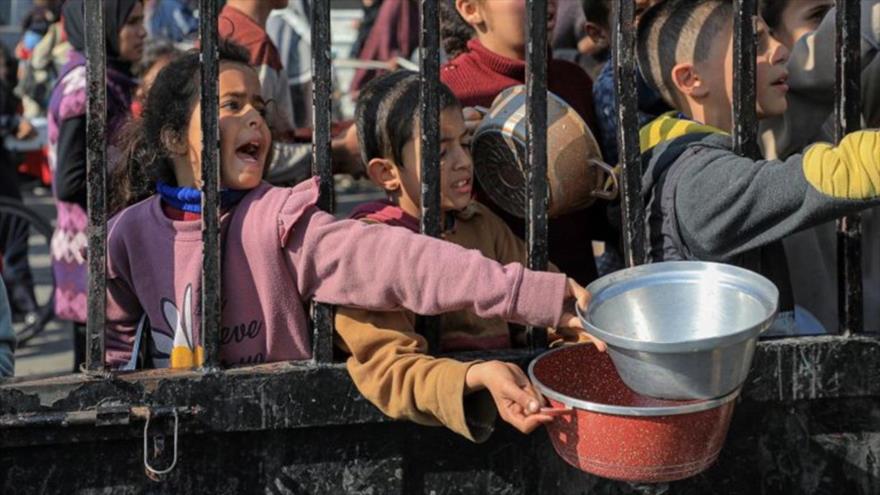 Niños intentan conseguir ayuda alimentaria en ciudad de Rafah, en sur de Gaza.