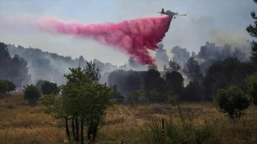 20 000 ha en norte de Israel arden en llamas por ataques de Hezbolá | HISPANTV