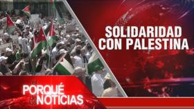 Solidaridad con Palestina| El Porqué de las Noticias