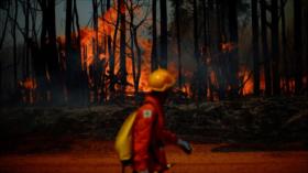 Enorme incendio forestal envuelve en humo la capital de Brasil