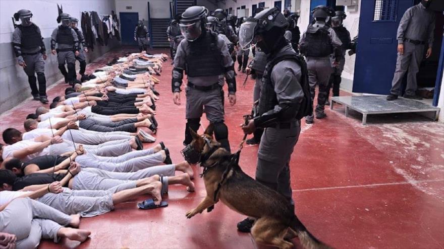 Fuerzas israelíes intimidan y torturan a presos palestinos utilizando perros policías en la cárcel de Megiddo, 6 de septiembre de 2024.