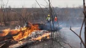 Continúan los devastadores incendios forestales en el pulmón del planeta