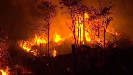 Incendios forestales causan estragos en Brasil