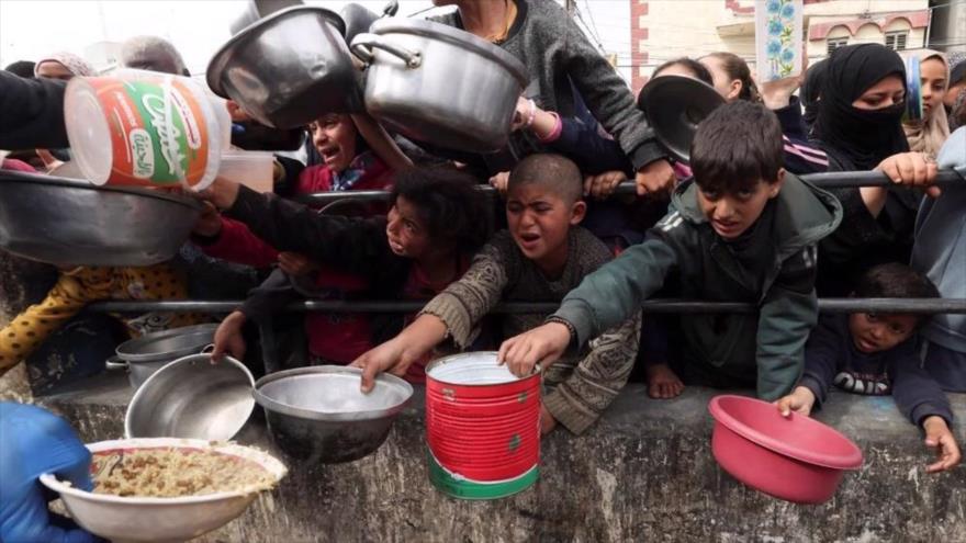 Niños palestinos esperan recibir alimentos preparados por una cocina benéfica en medio de una grave escasez en Rafah, en el sur de Gaza, 13 de febrero de 2024. (Foto: Reuters)