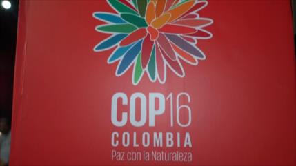 Se inician los eventos preliminares de la COP 16