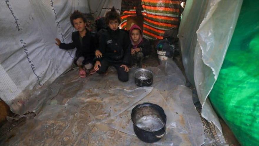 Niños palestinos en espera de conseguir comida.