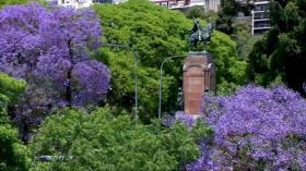 Una explosión de color Lila ocurre en Buenos Aires, Argentina 