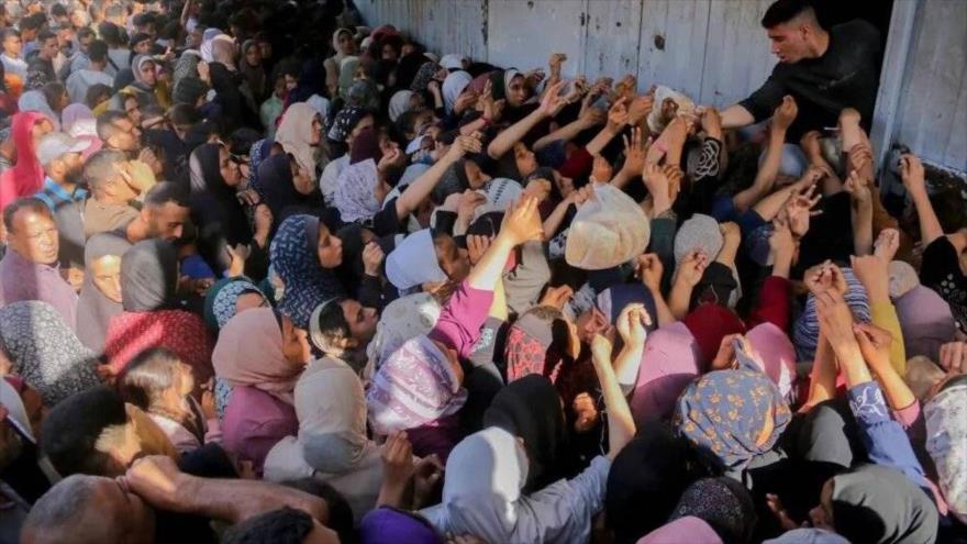 Una gran multitud de palestinos desplazados esperan para recibir pan en Gaza, 25 de octubre de 2024. (Foto: AFP)