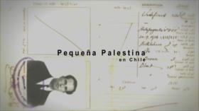 Pequeña Palestina | P1