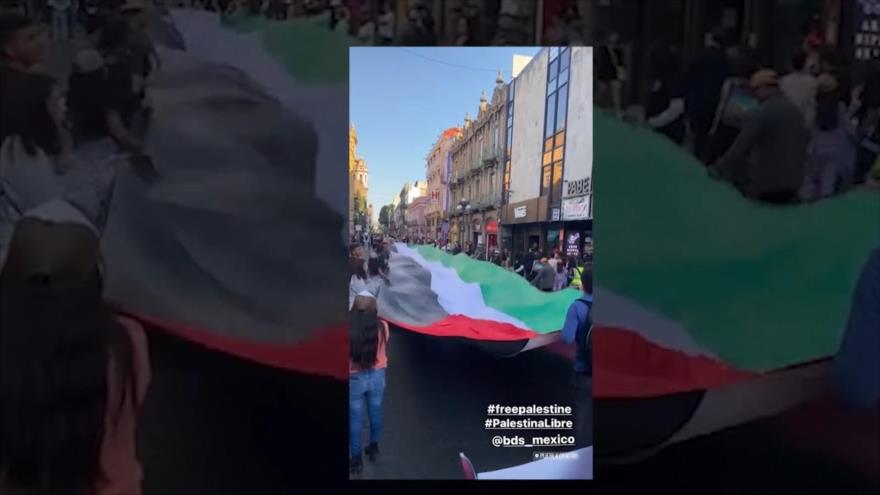 Palestina en México | Minidocu