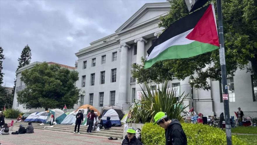 Manifestantes protestan contra genocidio en Gaza, en el campus de la Universidad de California en Berkeley, el martes 23 de abril de 2024. (foto: AP) 