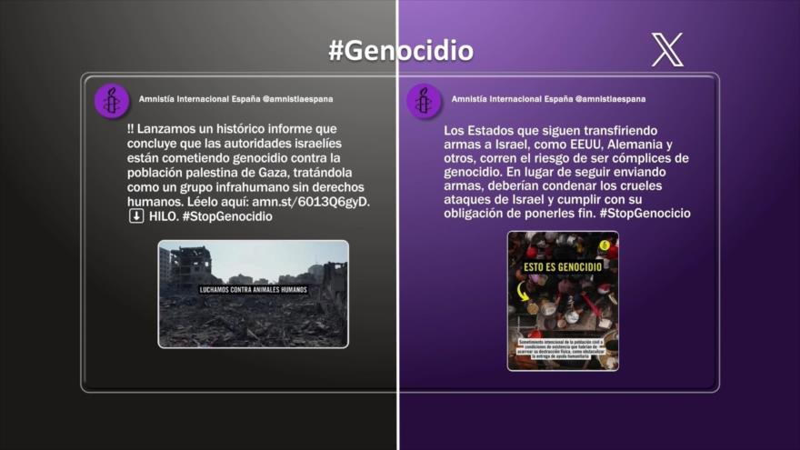 Informe histórico sobre genocidio israelí en Gaza | Etiquetaje