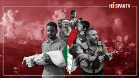 Los 450 días de la guerra genocida israelí en Gaza en cifras