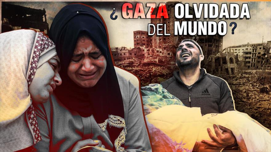 Occidente y el macabro juego mediático en el genocidio contra los palestinos | Detrás de la Razón