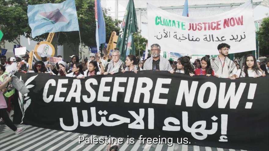 Captura de pantalla del video donde la Alianza por la Justicia Climática pide alto al fuego en Gaza.