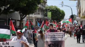 Palestinos en Guatemala celebran alto al fuego y claman por justicia