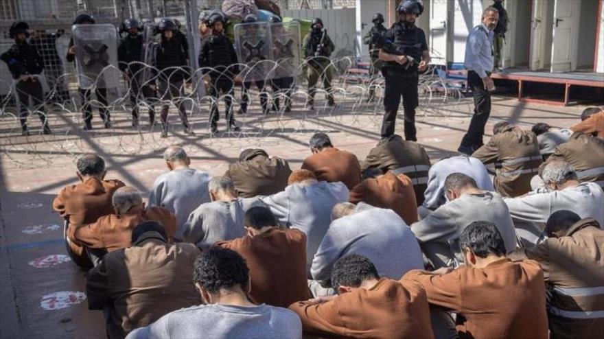 Palestinos capturados durante la guerra genocida israelí contra Gaza, vistos en un patio de una prisión en el sur de Palestina ocupada, 14 de febrero de 2024.
