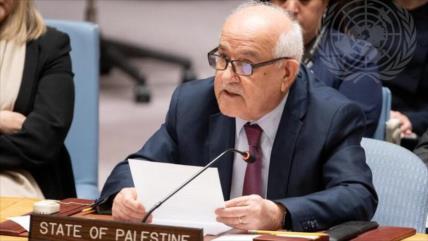 Palestina: Israel no puede “elegir” quién representa a la ONU