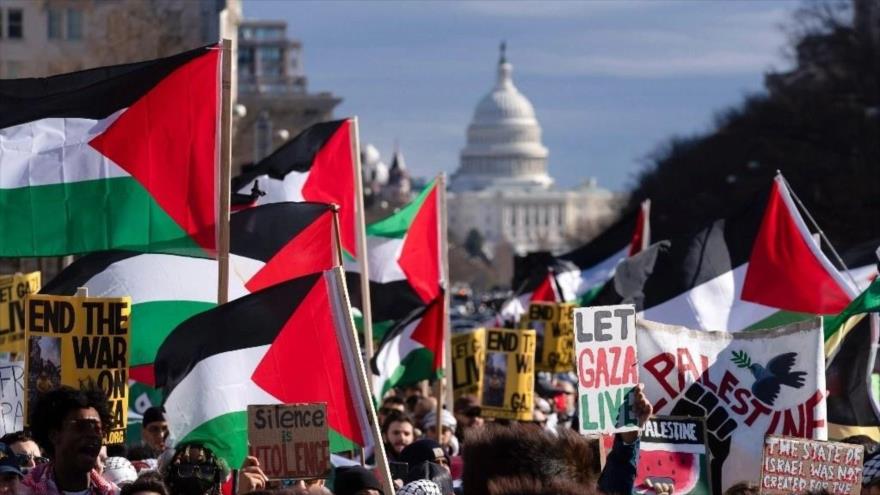 Cientos de manifestantes propalestinos marchan en Washington, en mayo de 2024. (foto: AP)