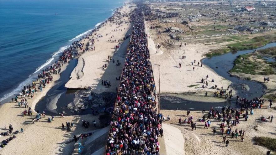 Desplazados caminando hacia la ciudad de Gaza después de cruzar el corredor de Netzarim, e27 de enero de 2025. (Foto: AFP)