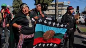 Mapuches marchan para exigir a Chile reconocer su idioma mapudungun