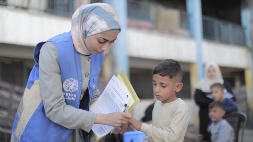 Equipos de UNRWA suministran vacunas contra la polio en una escuela de Jan Yunis, en Gaza, octubre de 2024. (foto: UNRWA)