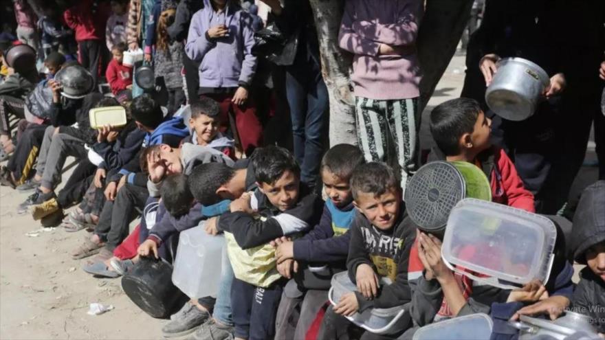 Los niños hacen fila para conseguir algo de comida en Gaza.