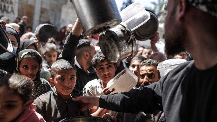 Reparto de comida en Deir al-Balah, Gaza. (Foto: Getty Images)