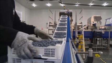 Nueva política arancelaria de Trump desafía al libre comercio con Perú