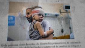El sueño de una Palestina Libre | Humanos Derechos en Gaza