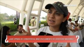 ¿Qué opinas de convertir al maíz en elemento de identidad nacional? | ¿Qué opinas?