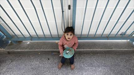 UNRWA: Palestinos comen “lo que encuentren” ante la escasez de alimentos