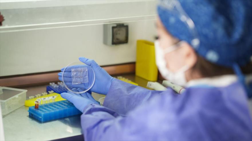 Foto ilustrativa de la manipulación de elementos en un laboratorio.