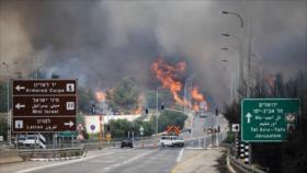 Incendios forestales de Israel: un recordatorio del proyecto colonial sionista