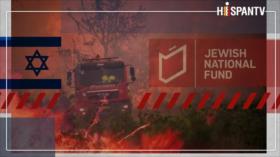 ¿Cómo incendios forestales encubren el colonialismo israelí?